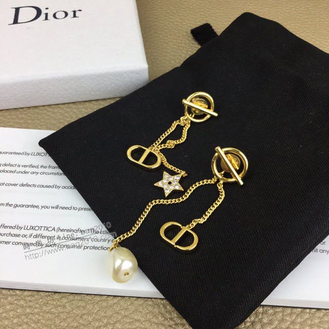 Dior飾品 迪奧經典熱銷款耳環  zgd1015